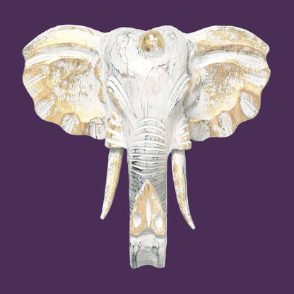 Whitewash Elephant Head