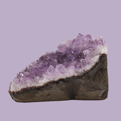 Medium Natural High-Grade Amethyst Standing Cluster
