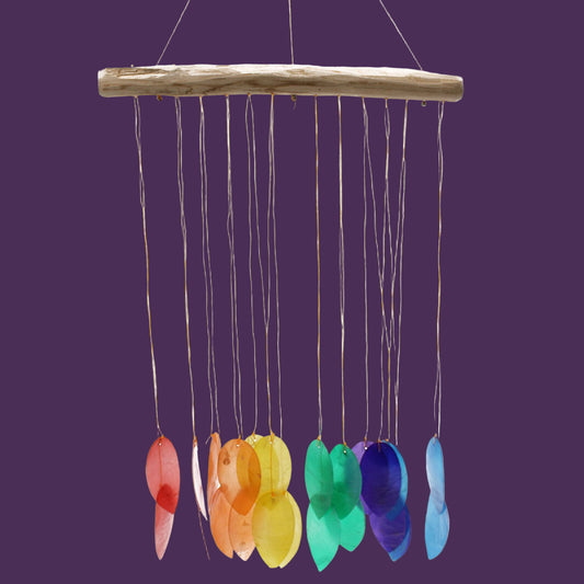 Rainbow Large Leaf Driftwood Chime