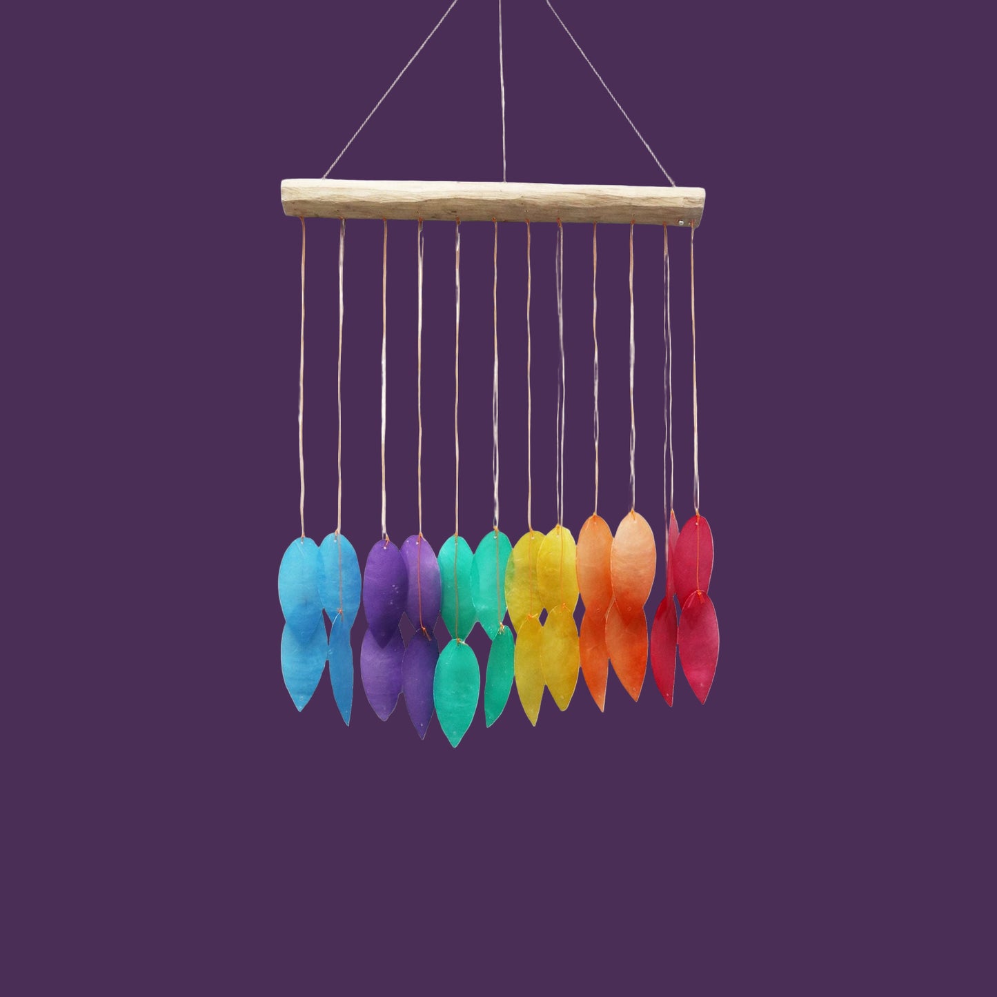 Rainbow Large Leaf Driftwood Chime